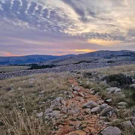 Lavendel - P. Dorcica Daire *