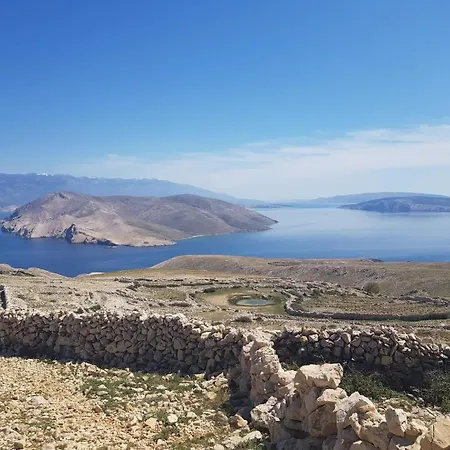 Lavendel - P. Dorcica